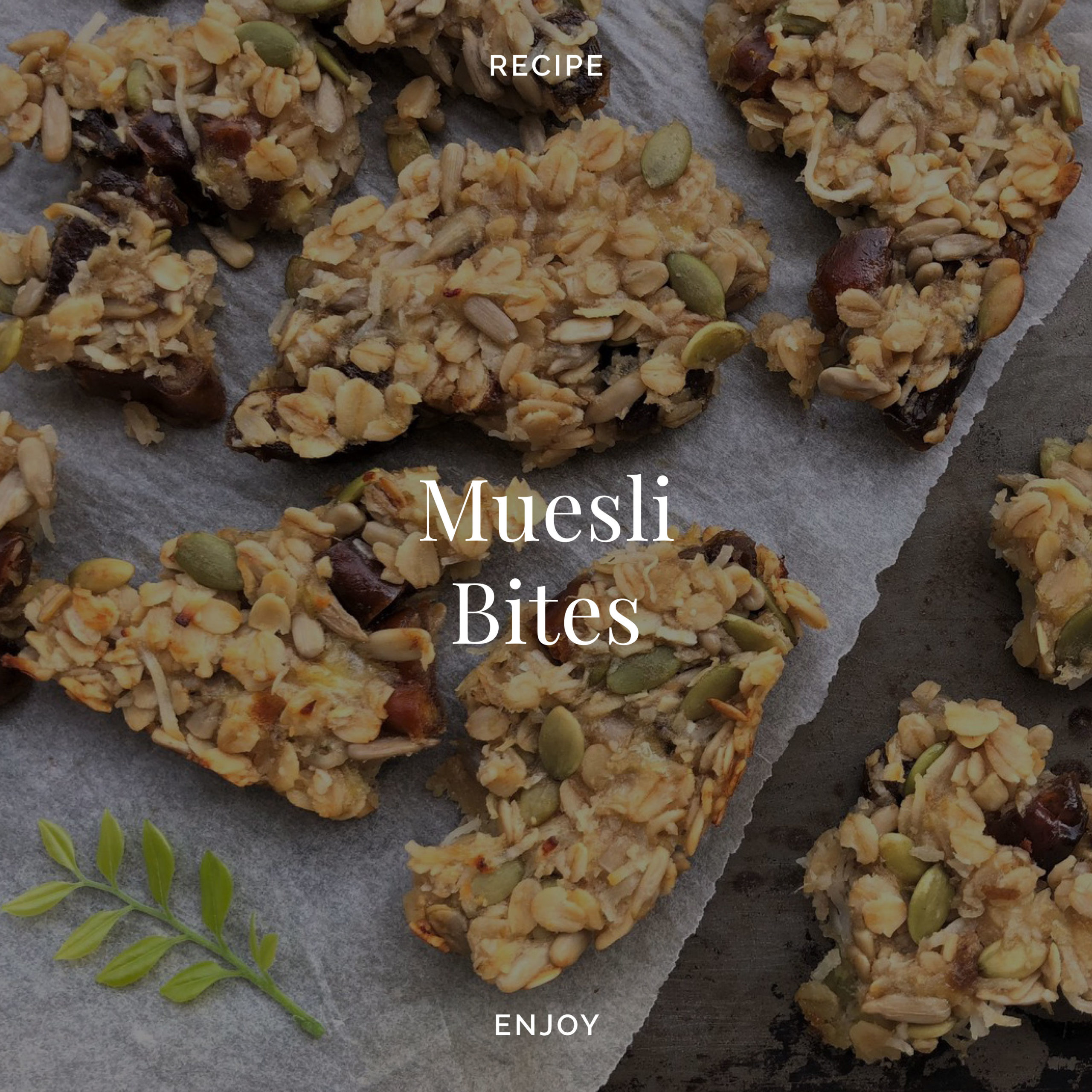 Muesli Bites