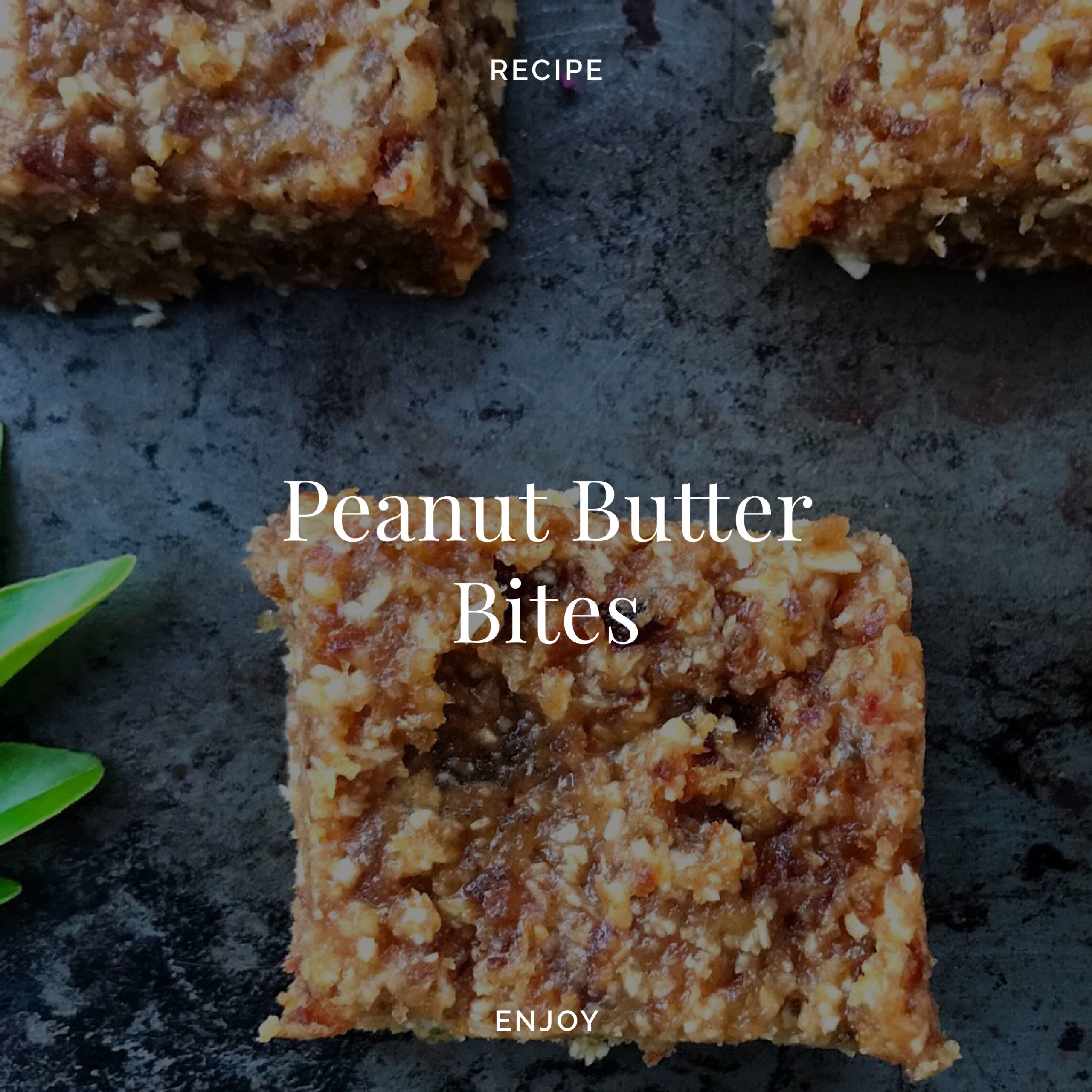 Peanut Butter Bites